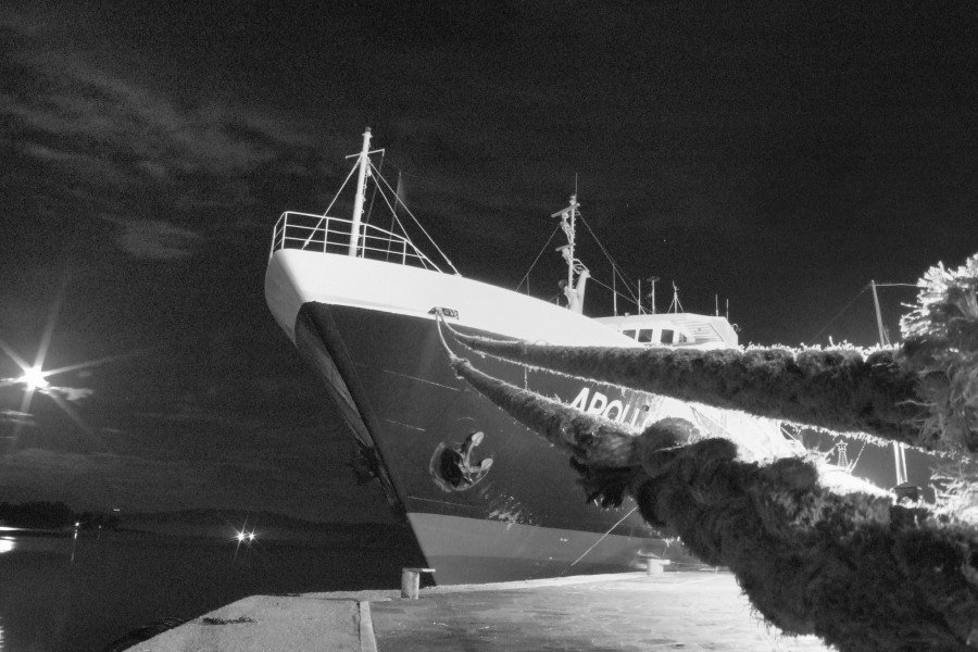 DSCF3379 nx bw_1.jpg