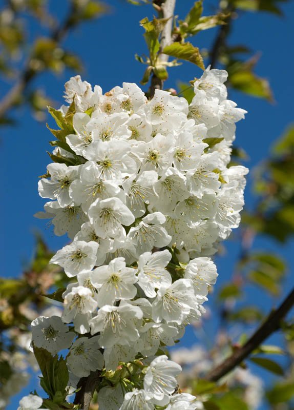 DSC_8687_1.jpg