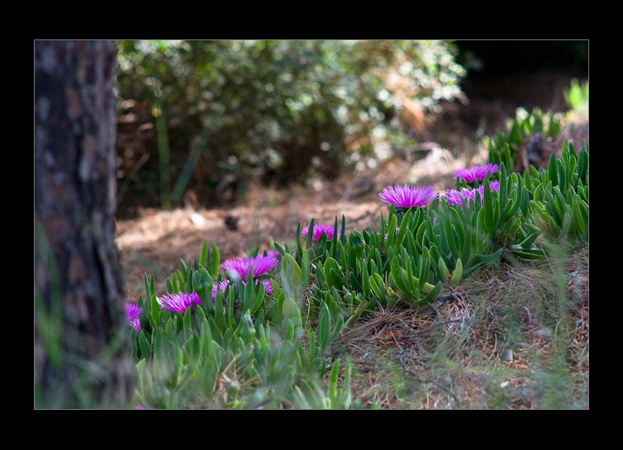 april0802.jpg