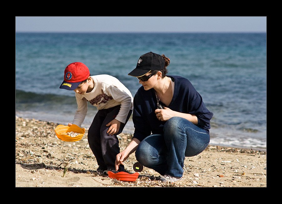 shellhunting3.jpg