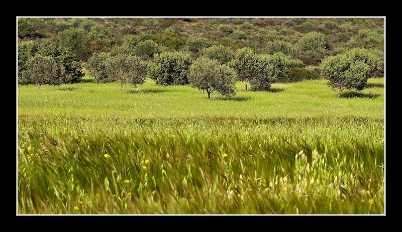 spring 23 of 56.jpg