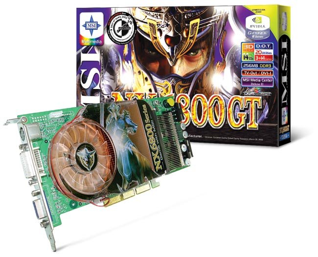 703573_8966NX6800GT-TD256P.jpg