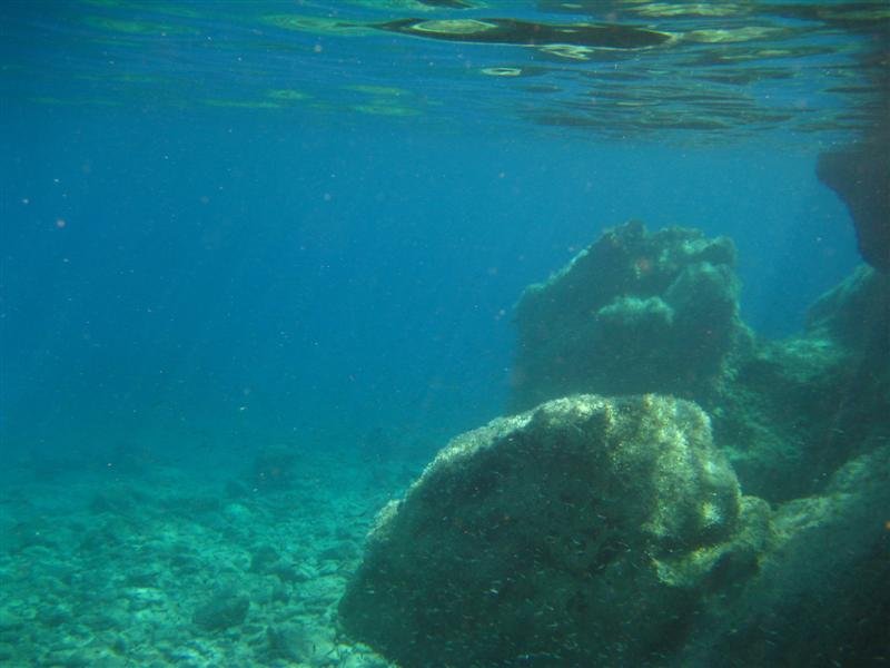 IMG_0085 (Medium).JPG