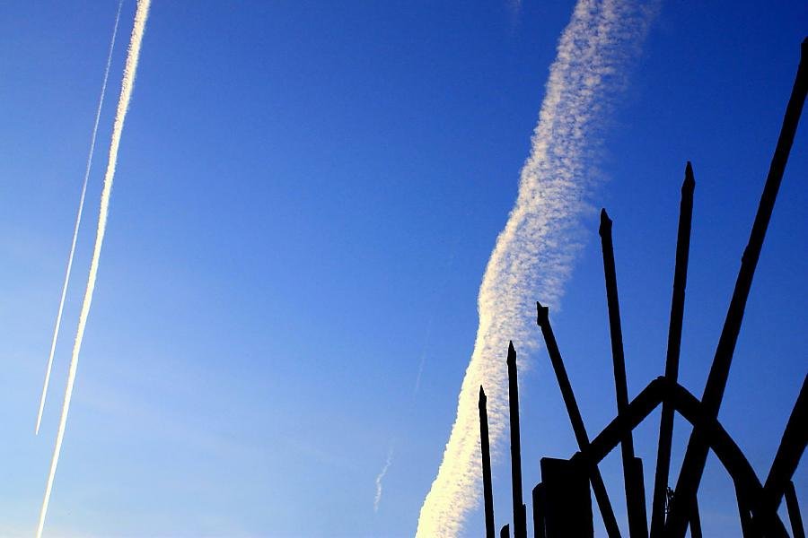 IMG_2429 ret1 crop resize.jpg