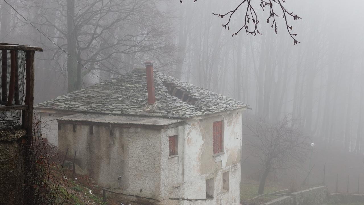 P3031878.jpg