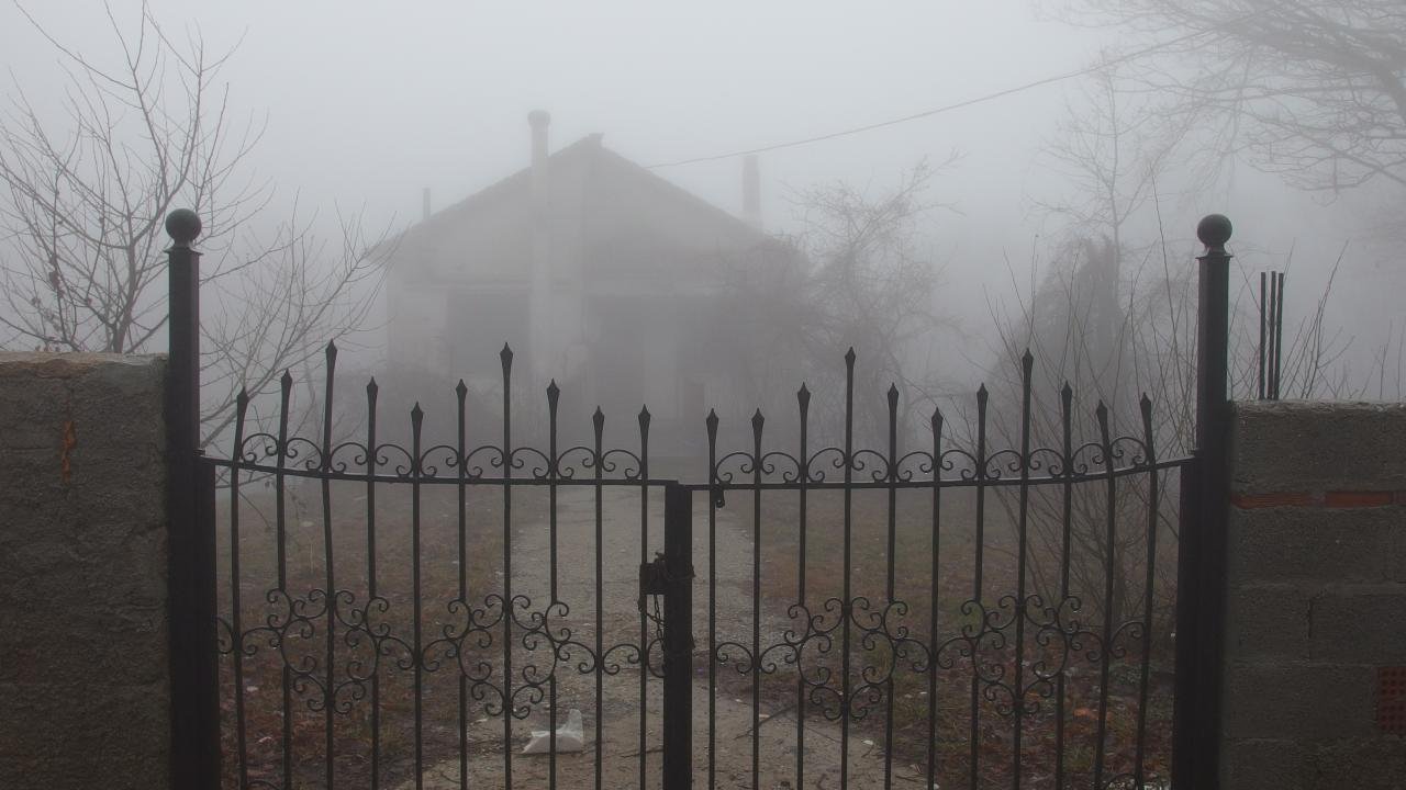 P3031832.jpg