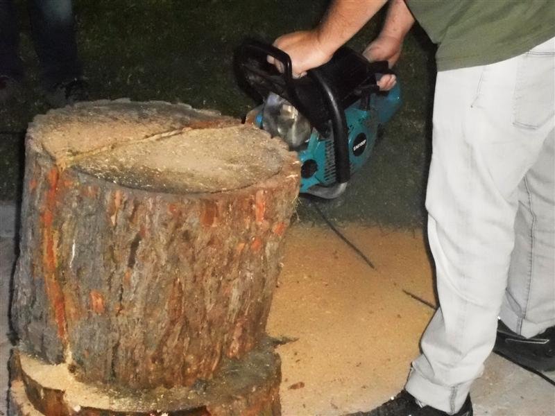 DSCN1700 (Medium).JPG DSCN1700 (Medium).JPG