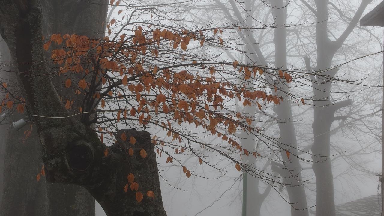 P3031905.jpg