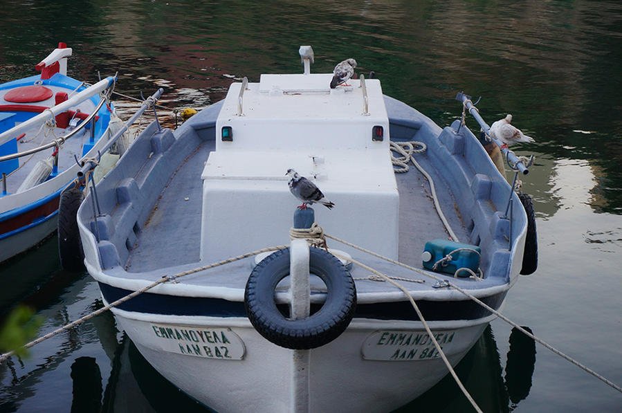 DSC09442-9.jpg