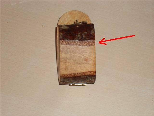 DSCN1758 (Small).JPG