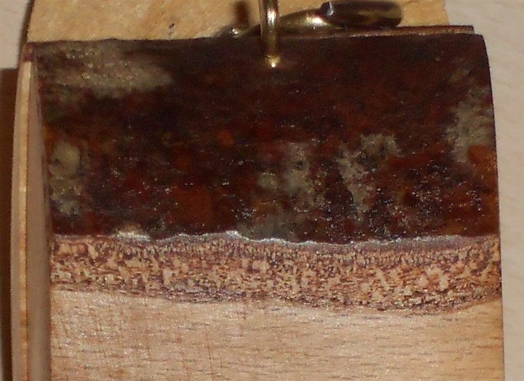 Copy of DSCN1758 (Large).JPG