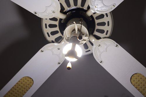 entire screen Avg.jpg