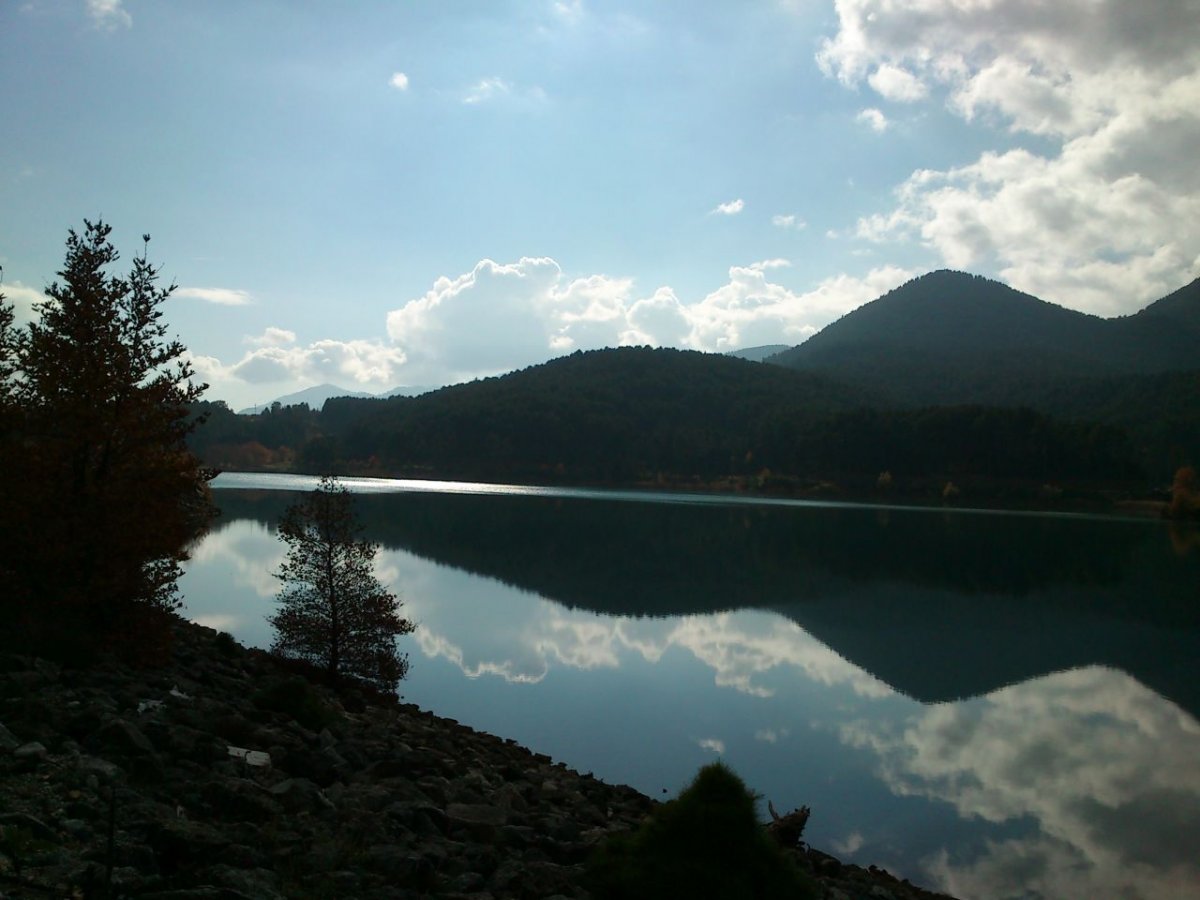 DSC_0145.jpg DSC_0145.jpg