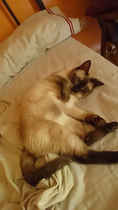 ΓΖΓΒΊΓΒ±ΓβΓΕΓβ ΓΒ±ΓβΓΖΓΒ± 1.jpg