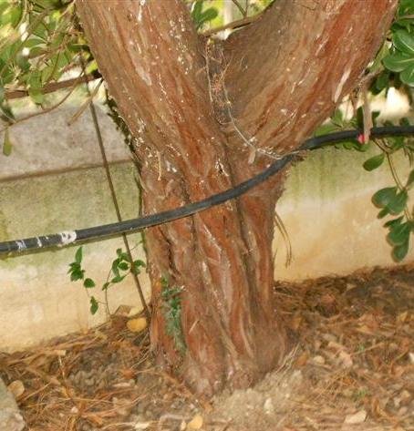 DSCN1478 (Medium).JPG