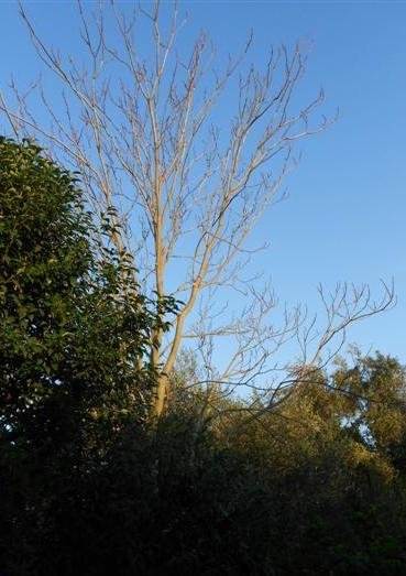 DSCN1481 (Medium).JPG