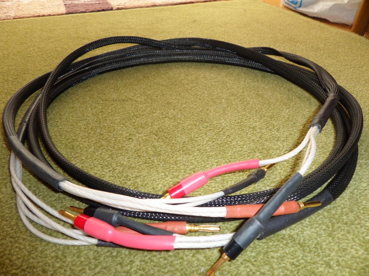 SAM_0012.jpg SAM_0012.jpg