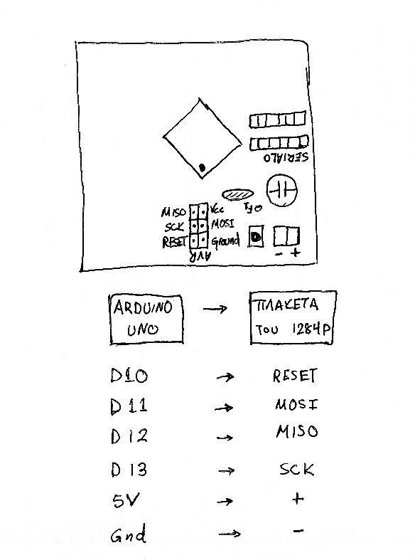 pic1.jpg