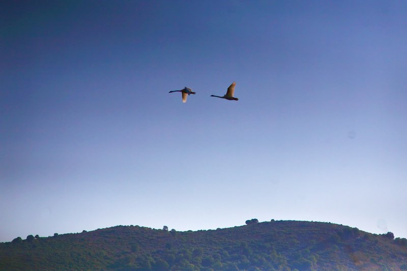 natura1_02.jpg