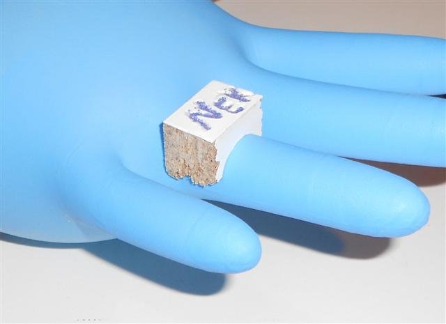 DSCN1780 (Small).JPG