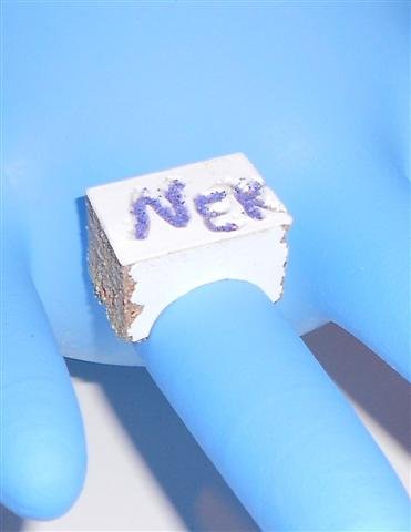 DSCN1781 (Small).JPG