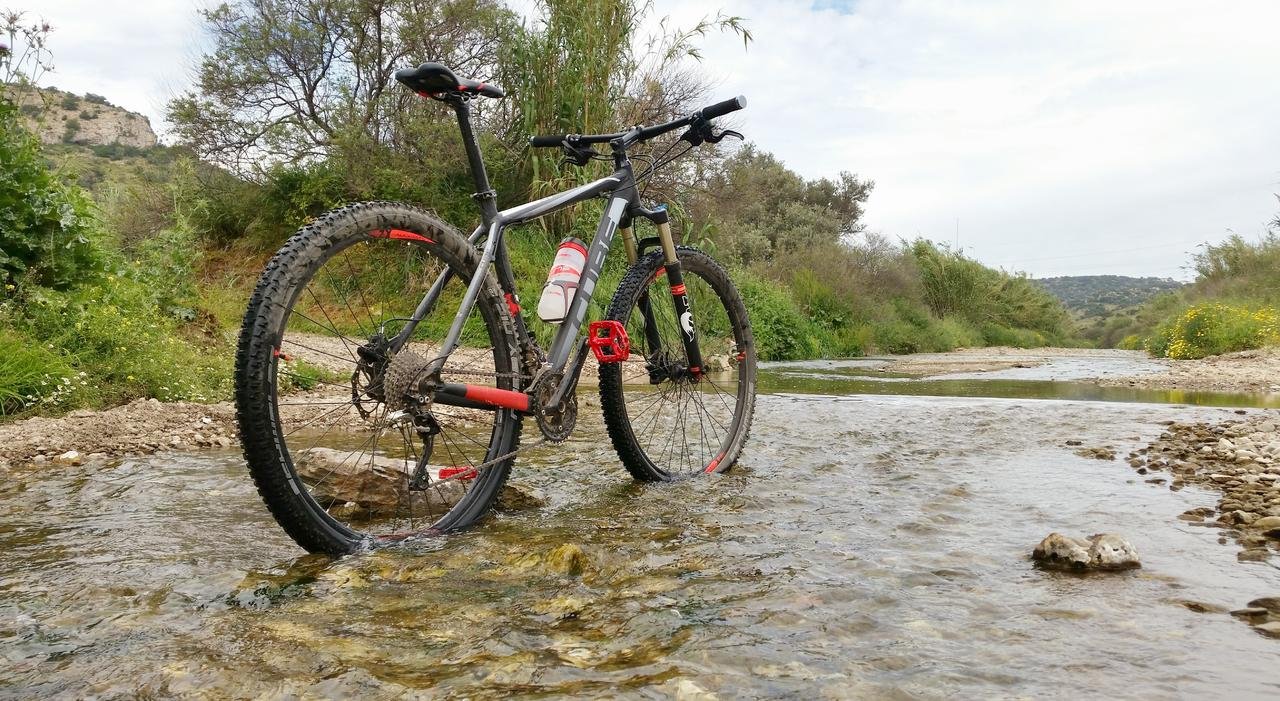 20150502_145613 (1).jpg