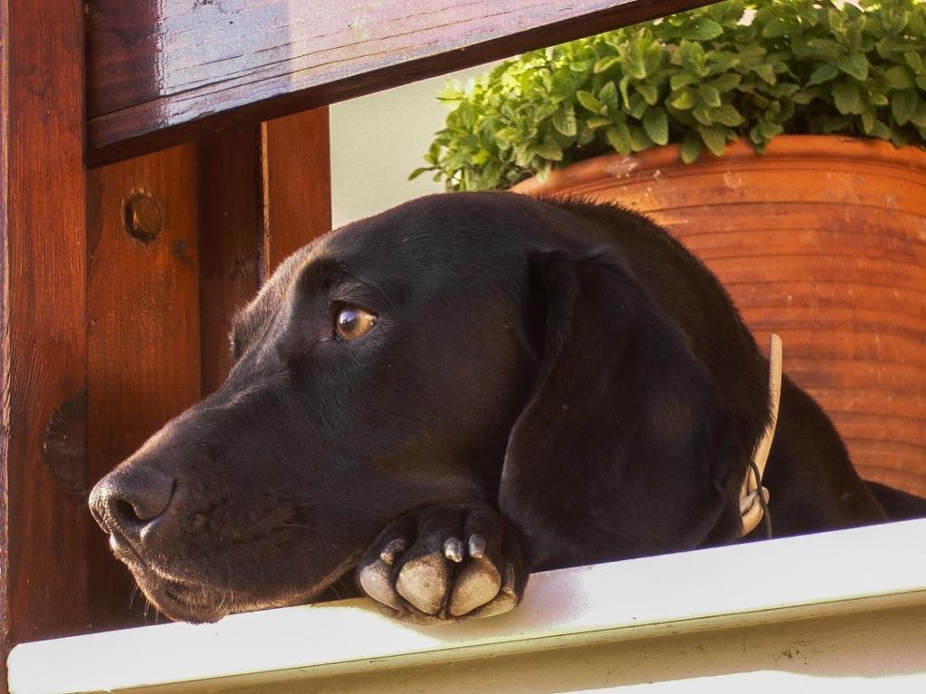 P1050207 (1024x768).jpg