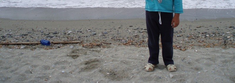 ΓβΓΒ½ΓβΓΒ―ΓΒ³ΓΒΓΒ±Γβ ΓΒΏ ΓΒ±Γβ¬ΓΕ P9020391.JPG