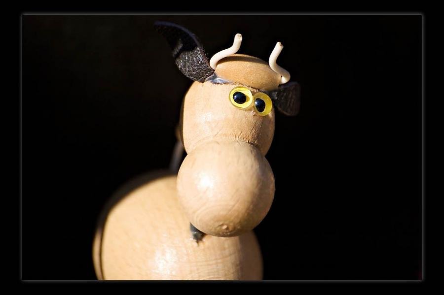 IMG_1576 (0.00.00.00).jpg