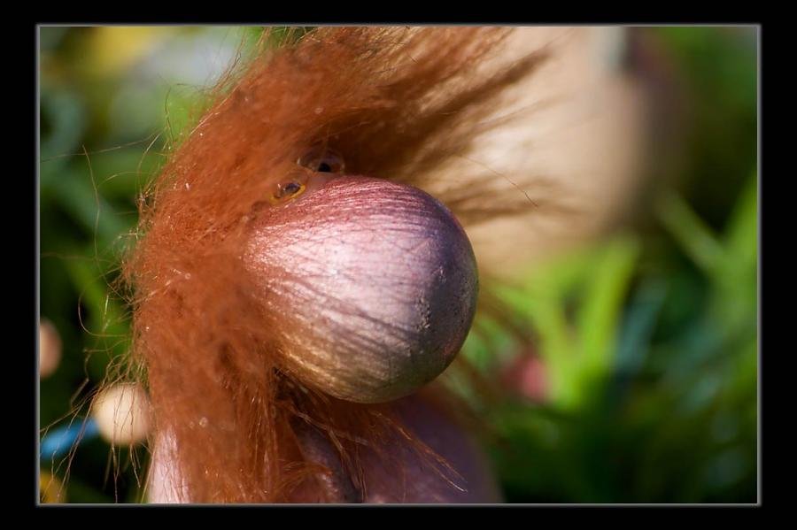 IMG_1577 (0.00.00.00).jpg