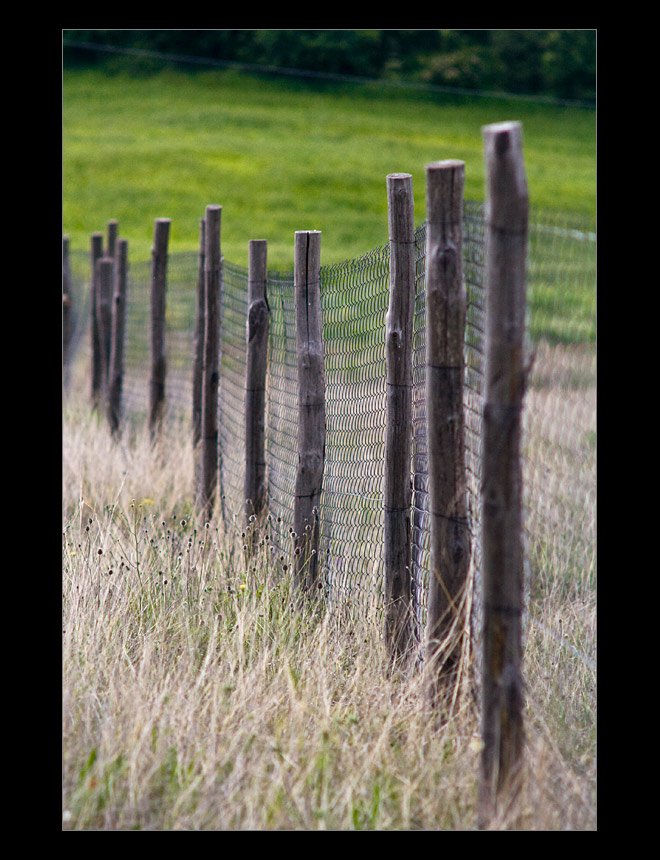 fence.jpg