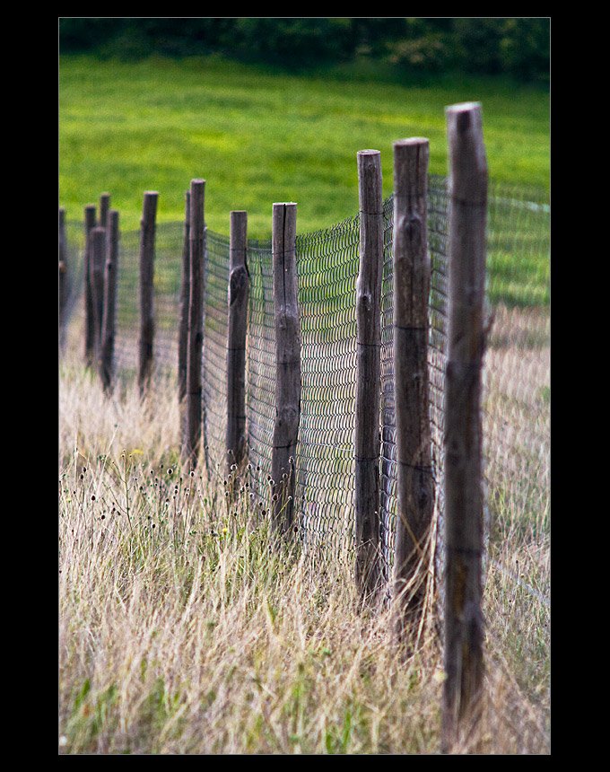 fence2.jpg