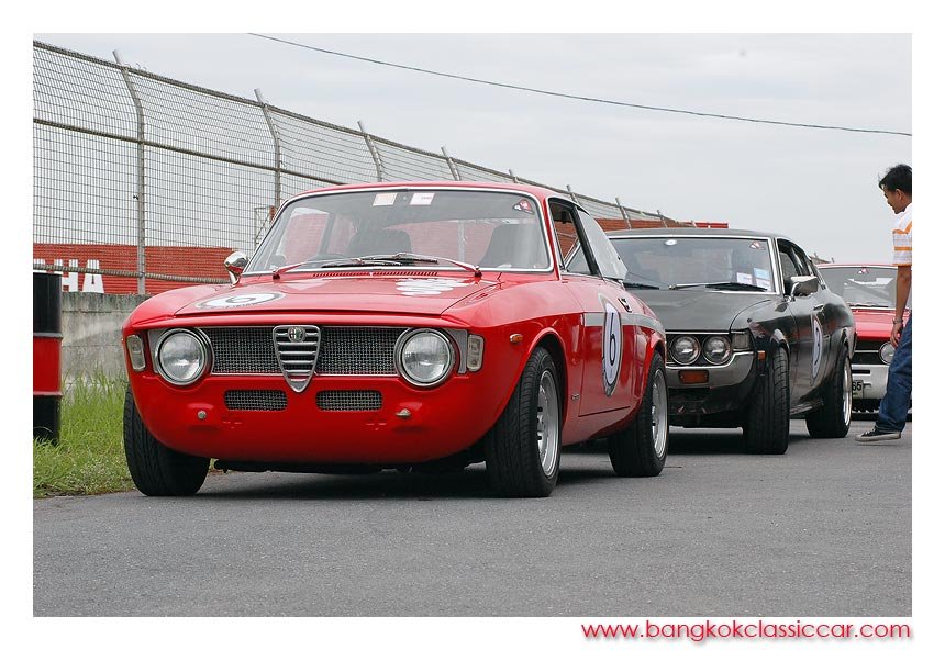 ALFA GTA.jpg
