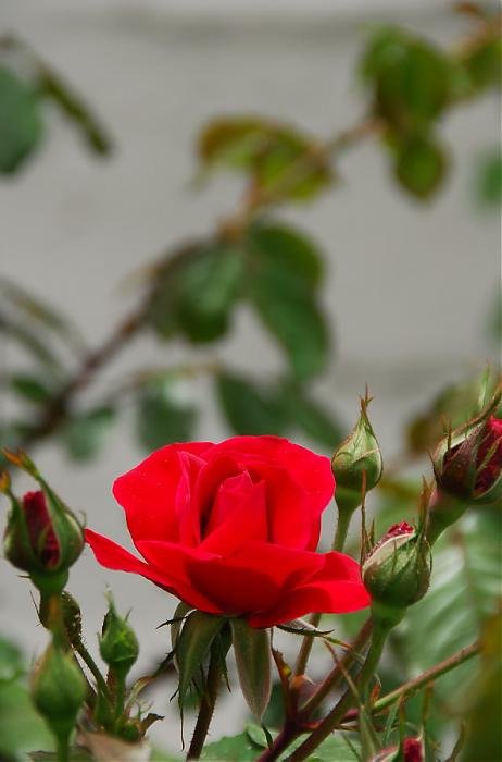 DSC_0073 n_1.jpg