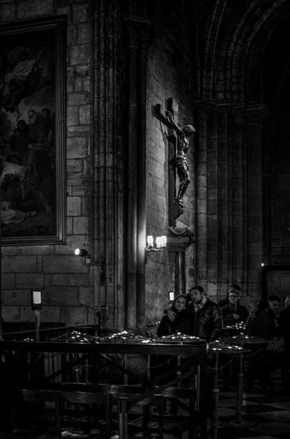 DSC_0971_DxO2-2.jpg