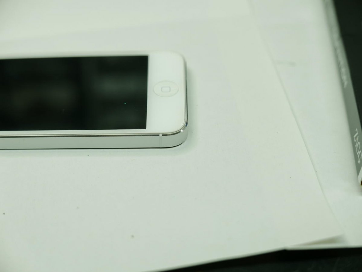 P1000433.jpg