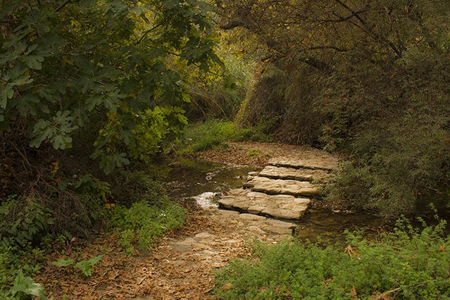_MG_2407r.jpg