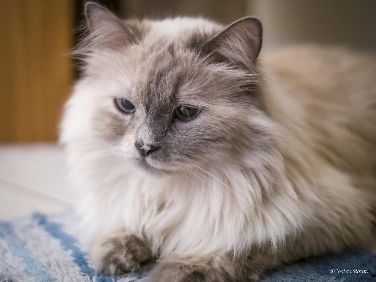 _1010739.jpg _1010739.jpg