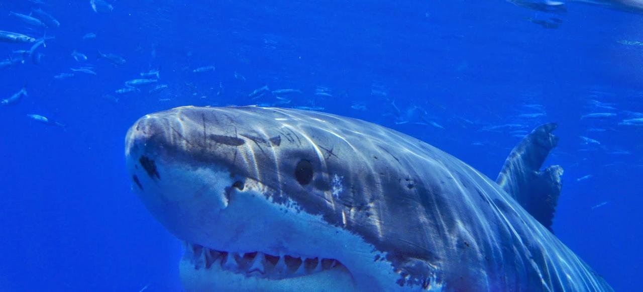 Guadelupe 09-14-2012.jpg