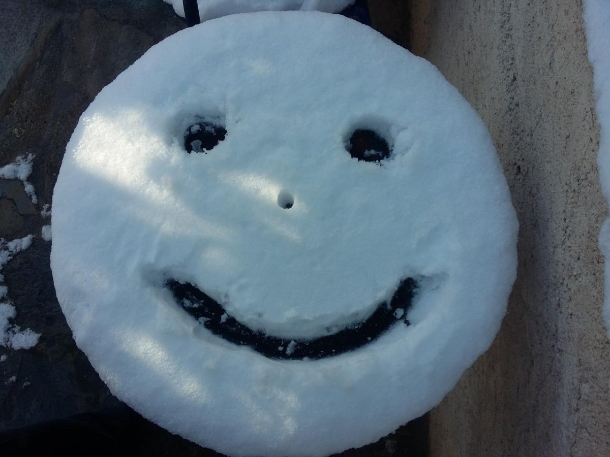 2017-01-10 10.51.54.jpg