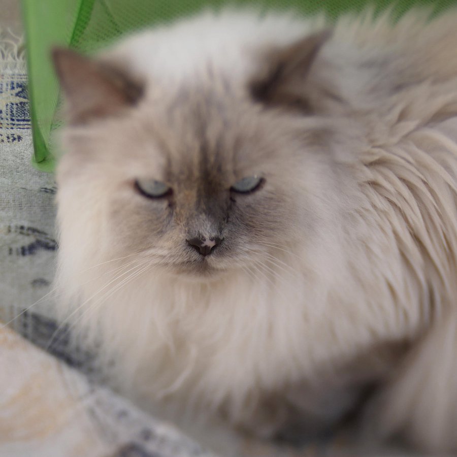 _1040779.jpg _1040779.jpg