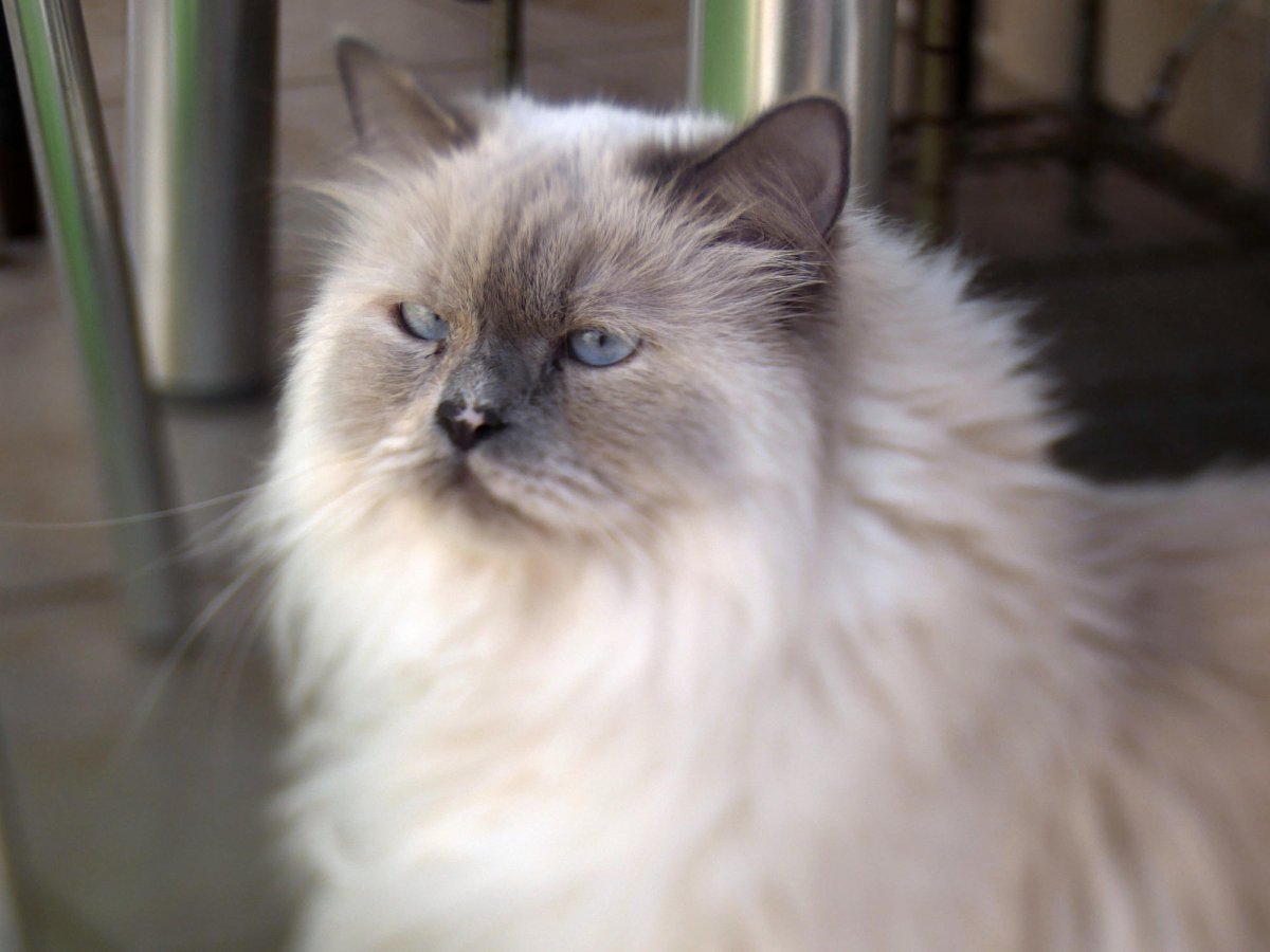 _1040774.jpg _1040774.jpg