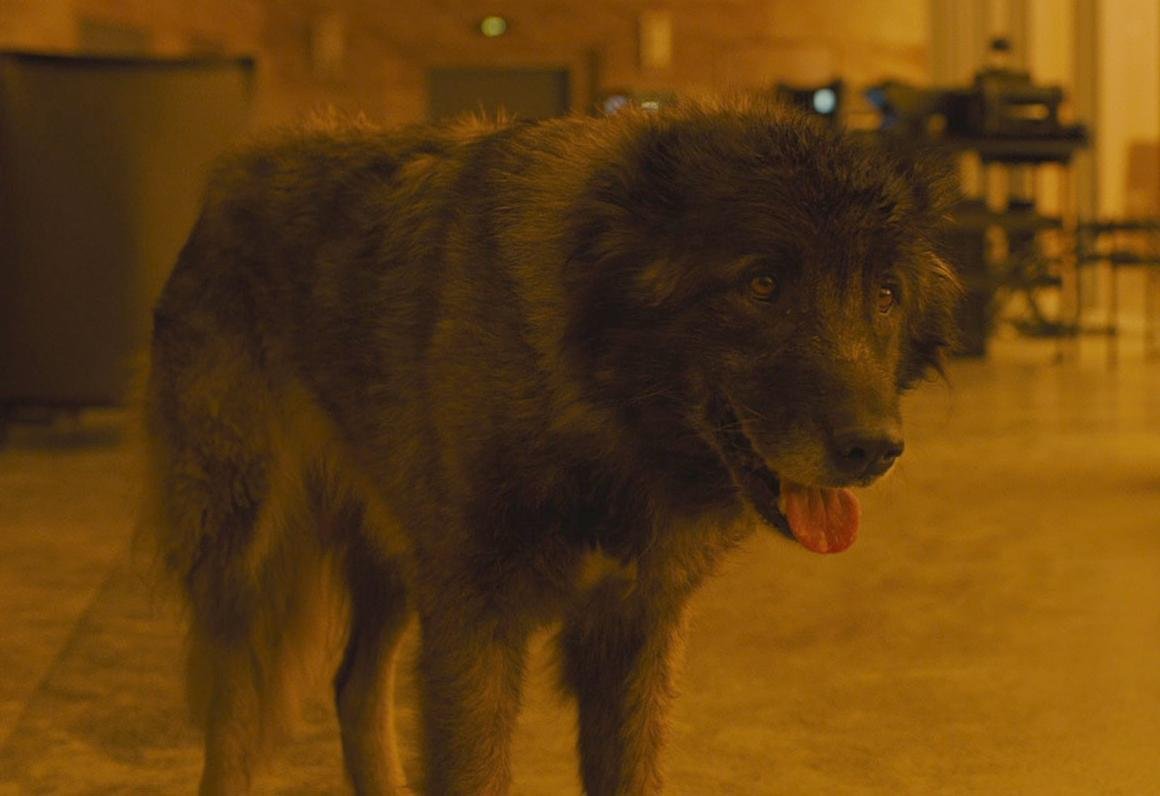 ΓΕ‘ΓΕΓβ¬ΓΒΓΒΏΓβ Γβ¦Γβ¬ΓΒ­ΓΒΓΒΏΓβ‘ΓΒΏΓβ.jpg