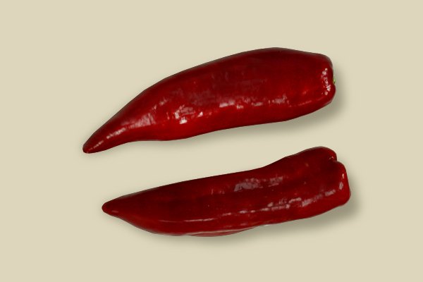 capsicum_florinis.jpg