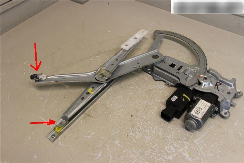 grillos.jpg grillos.jpg