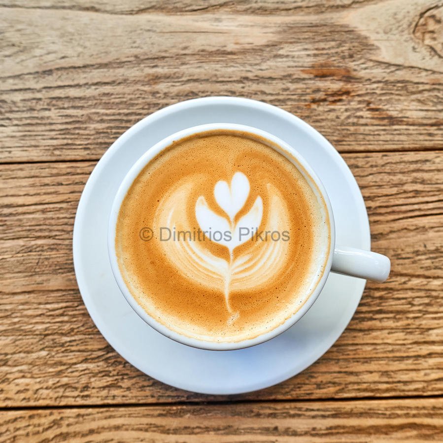 DSC00205_R1 - Copy-wm.jpg