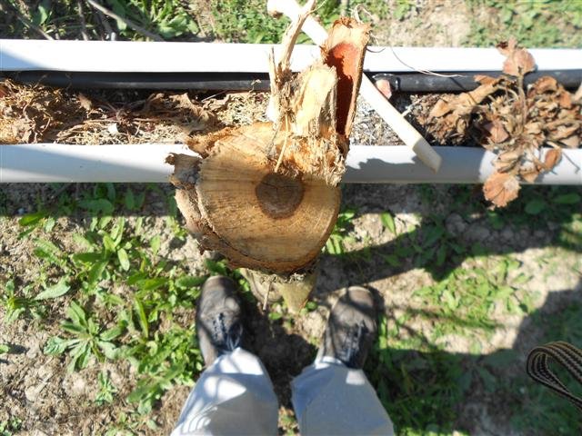 DSCN1644 (Small).JPG