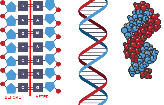 FANBOITIDA.gif FANBOITIDA.gif