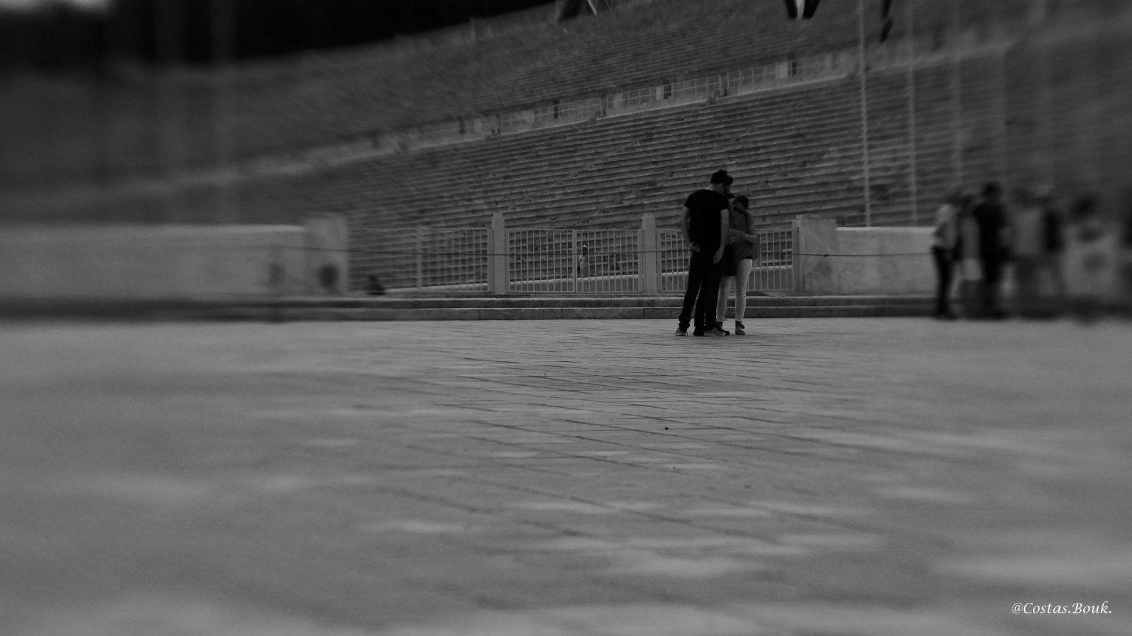 _1020537.jpg