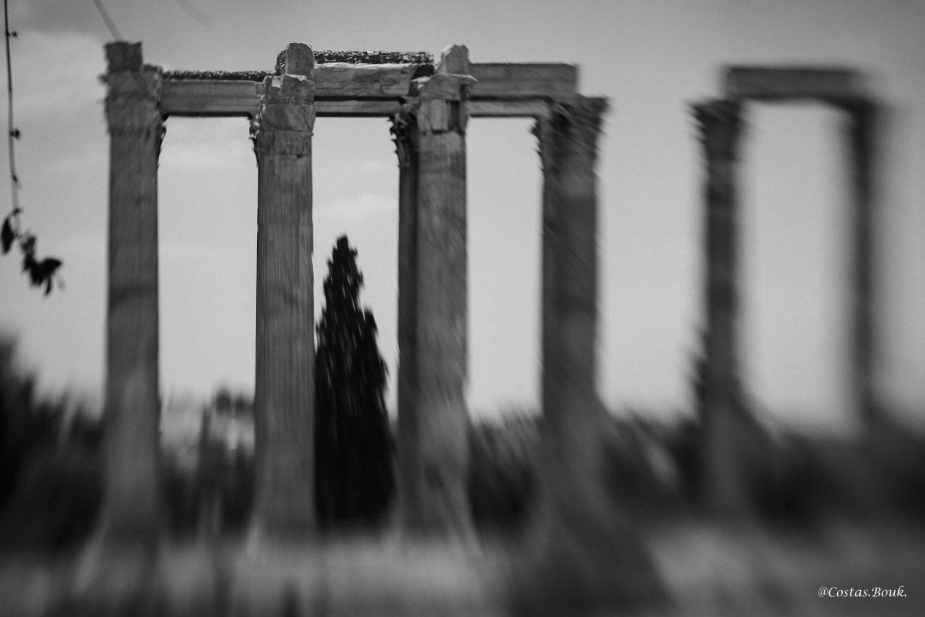 _1020474.jpg _1020474.jpg